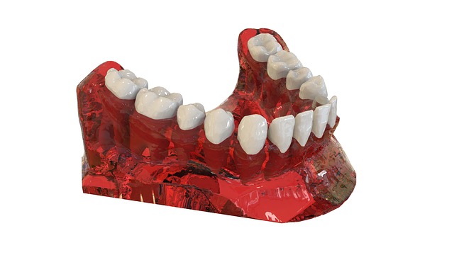 3d model